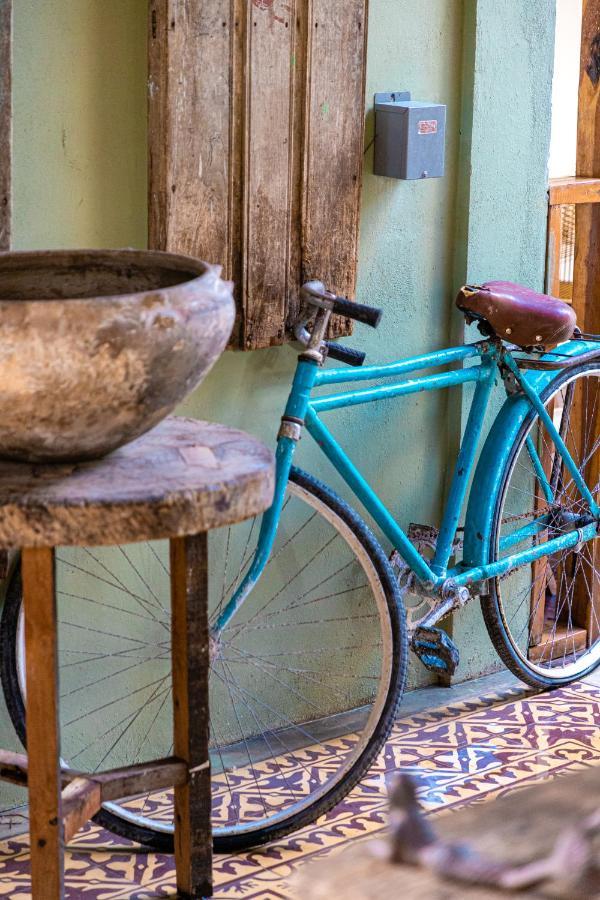 Alma De Zorro Hotel Bacalar Ngoại thất bức ảnh
